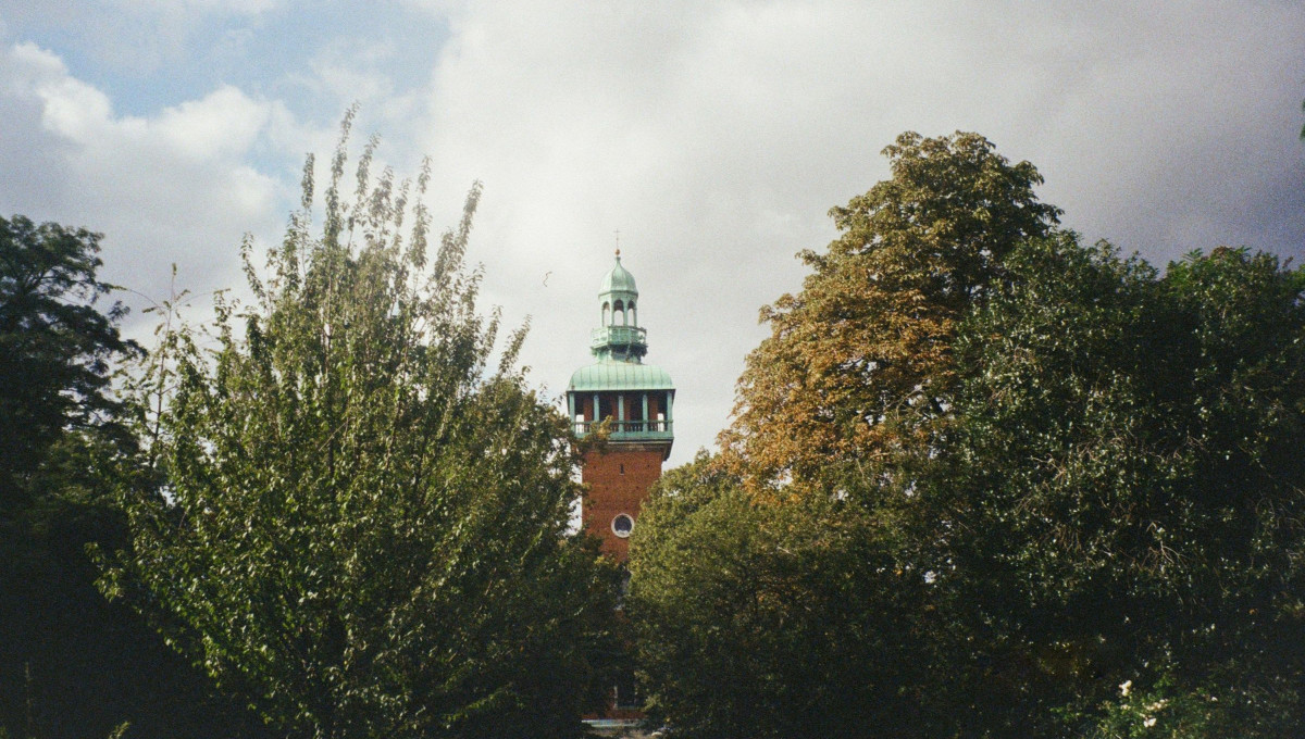 Historic tower surrounded by trees